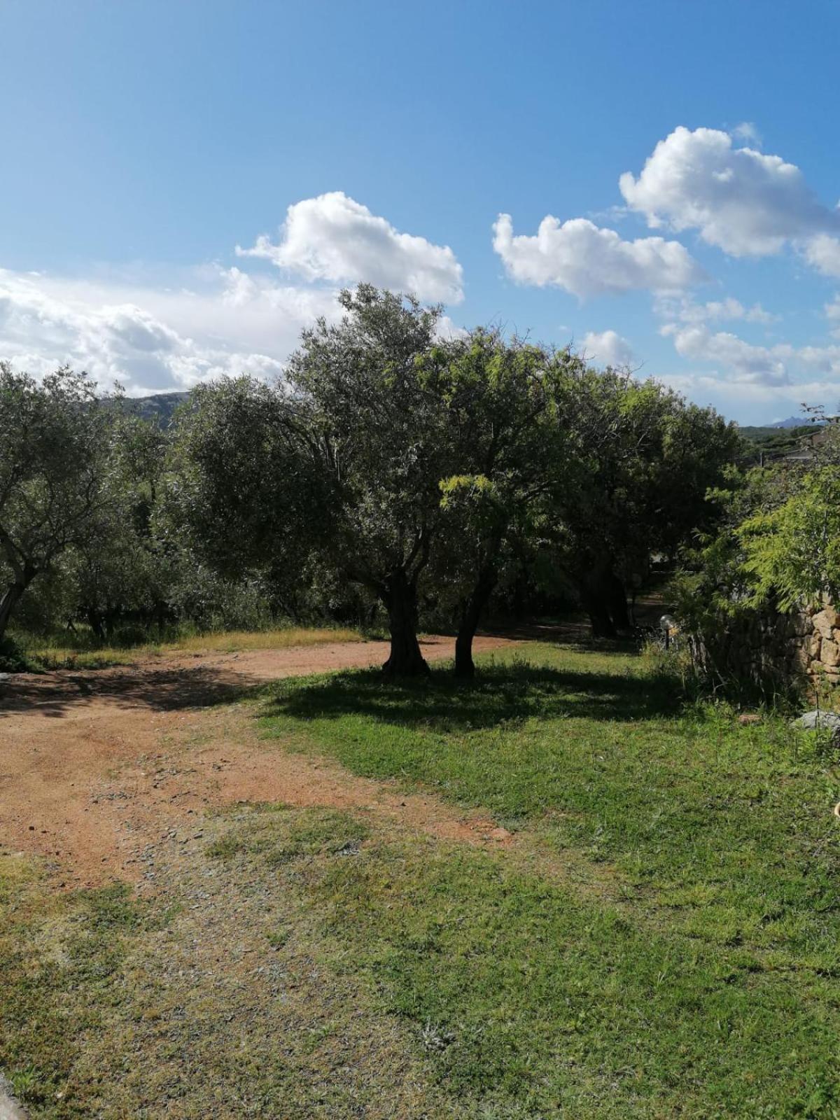 Casa Orecchioni Arzachena Exteriér fotografie