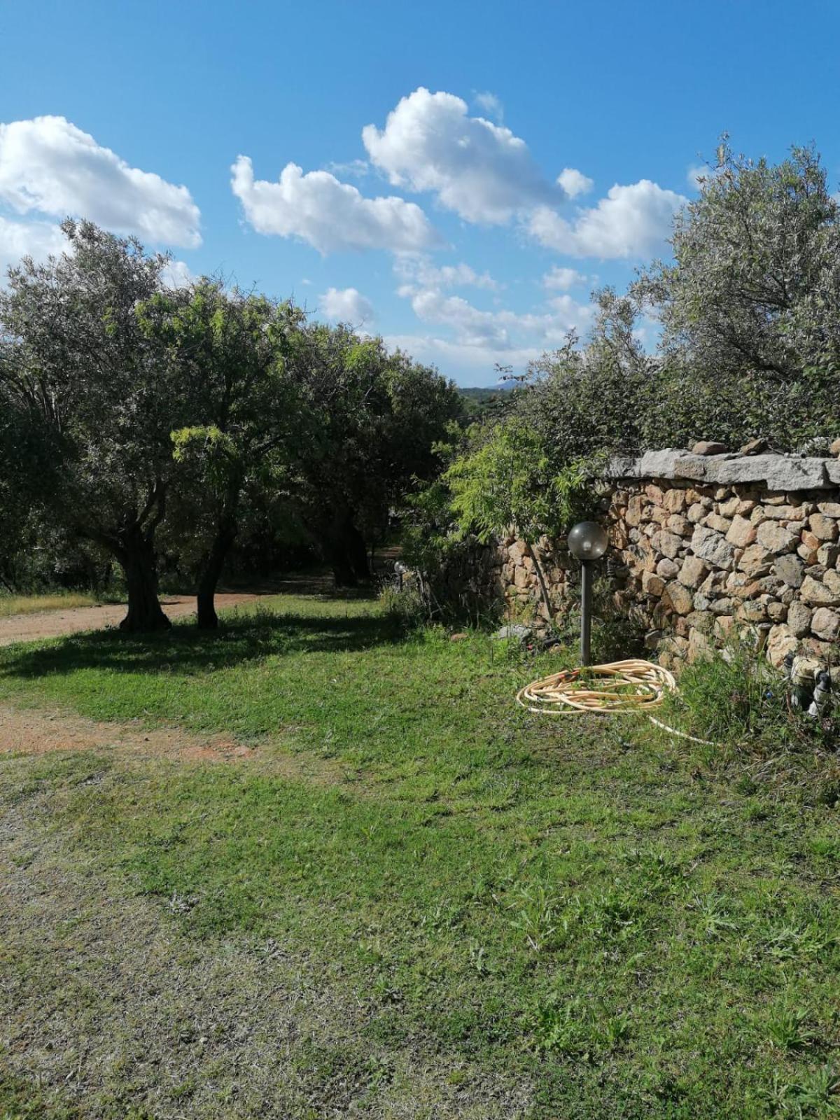 Casa Orecchioni Arzachena Exteriér fotografie